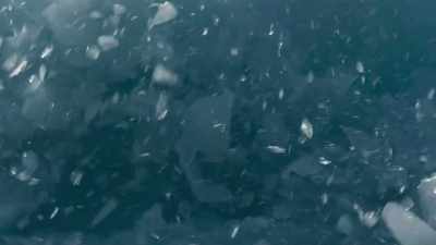 And this brash ice now fills the bays. - Seven Worlds, One Planet