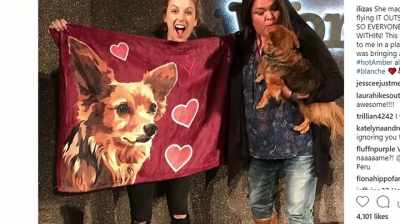 And they bring so many toys
for Blanche and candy. - Iliza Shlesinger: Over & Over