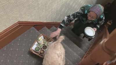 And brings me cactus. - How To with John Wilson