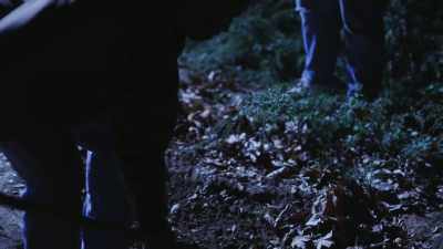 and buried him. - Buried In The Backyard