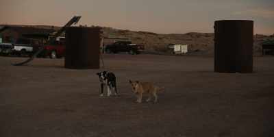 And businesses, you know,
th-they lose interest. - Navajo Police: Class 57