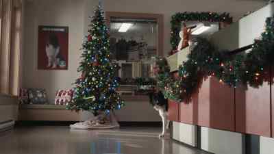 And by the sound of it, - Happy Howlidays