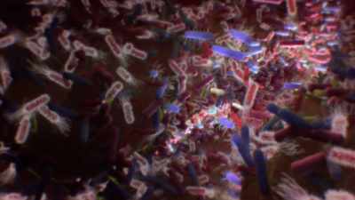 And we can alter our gut bacteria
through lifestyle changes, - Human: The World Within