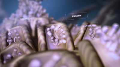 And they can combine
to be millions of them - Chasing Coral