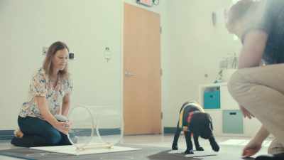 And we can take a puppy
and really run them through these tests - Inside the Mind of a Dog