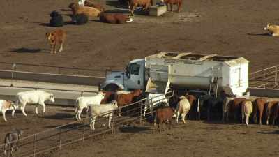 And you can't do that in
the confinement model. - Food and Country