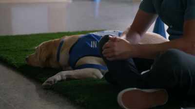 And we can't send
you back to Katie, - Guiding Emily