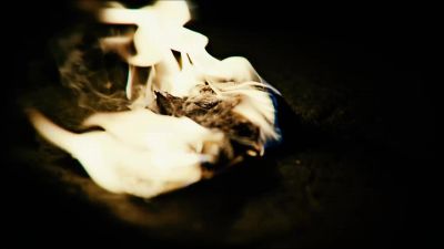 And they carefully destroy all forensic evidence - Becoming Ian Brady