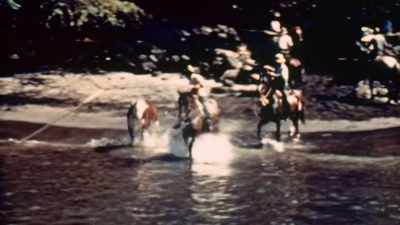And cattle being
loaded by rope and derrick - The Pacific War in Color
