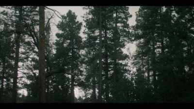 And we certainly didn't expect - Beyond: UFOS and the Unknown