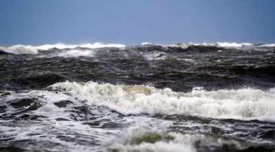 And changing water
temperatures is well known - Shark Attack Files