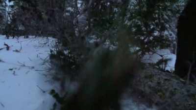 And coming out here,
and doing all this hard work, - Life Below Zero: Next Generation