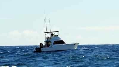  And it could attract a schoo - Deadliest Catch: Bloodline