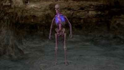And crucial to this battle
is our lymphatic system - a complex - The Human Body: Secrets of Your Life Revealed