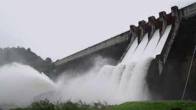 And he decided to do
hydro energy instead. - Trump Card