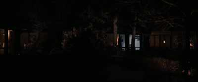 And did you see the intruders? - See for Me
