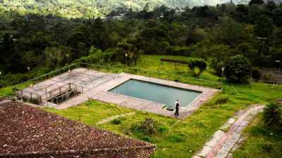 ..and discover how
a Colombian cartel - Ross Kemp: Mafia and Britain