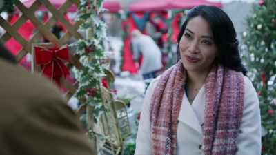 - And you do?
- I don't know. You tell me. - A Vineyard Christmas