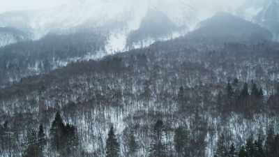 And to do so,
he may have to travel through - Frozen Planet II