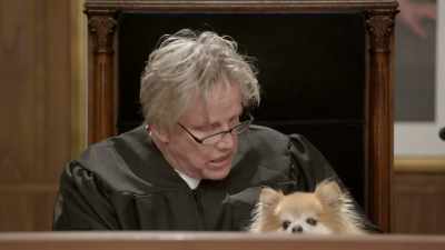 And this dog,
my friend, my lady, - Gary Busey: Pet Judge