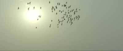 And don't you dare hold
a grudge against my grandsons! - Badhaai Ho