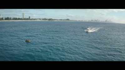 And you don't go and cut them, - Envoy: Shark Cull