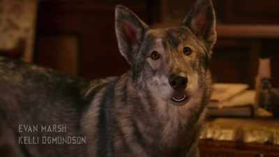 And don't even think about
becoming real pups again, - Phantom Pups