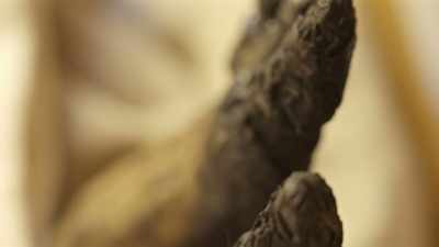 And entering into that tomb space, - Tutankhamun: Secrets of the Tomb