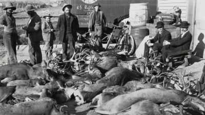 And that ethic runs
almost directly counter - The American Buffalo