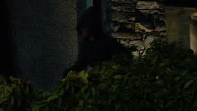 And even if he were to take them out, I have two sharpshooters on the roof. - Arrow