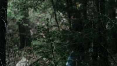 And eventually, days later, - Missing 411: The Hunted