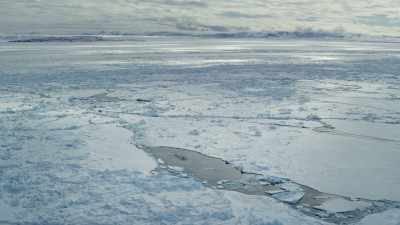 ...and eventually reach
a patch of open water. - Frozen Planet II