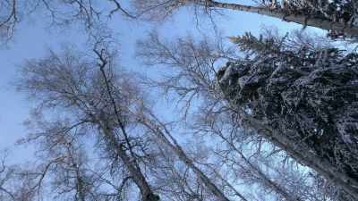 And every cracking
noise, you know, - Life Below Zero: Next Generation