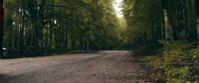 And every road, sooner or later,
comes to a crossing, - Shortcut