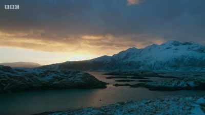 And every winter,
the Norwegian fjords - Planet Earth: A Celebration