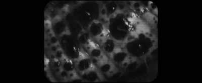 And everything it
eats is going to feed - Memory: The Origins of Alien