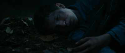 And fall asleep right there
with me. - Lost on a Mountain in Maine