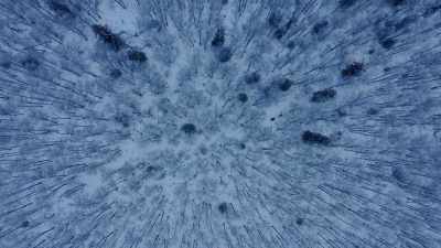 And so far I'm
super blessed with, - Life Below Zero: Next Generation