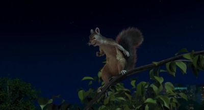 Finally - The Wild