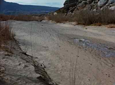 And finally the once raging
torrent is swallowed up - The Living Desert