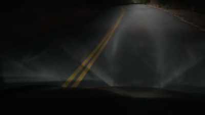 AND FINALLY, THOSE SCRATCHES
ON THE CAR CAN BE EXPLAINED. - Bloodlands