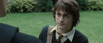 And Fleur and Krum, do they--? - Harry Potter and the Goblet of Fire