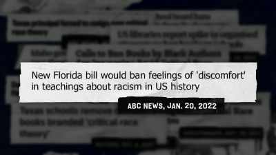And Florida has legislation
to make it illegal - The Problem With Jon Stewart