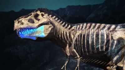 AND FOR A MEAT EATER,
EVERYBODY LOVES THOSE TEETH. - Dino Hunters