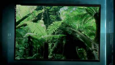 AND, FOR MAYCOL,
IT SEEMS POSSIBLE - Expedition Mungo