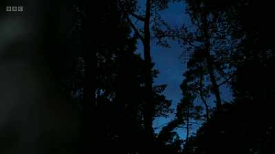 And this forest, called
Kazimierz Biskupi, - How the Holocaust Began