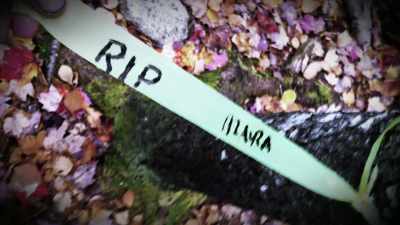 And found ribbons that said
"RIP Maura Murray." - The Disappearance of Maura Murray