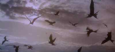 ...and fowl that fly
above the earth - The Bible: In the Beginning