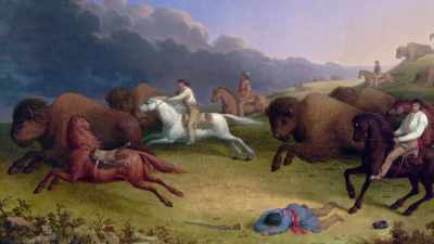 And from Canada, the Métis-- - The American Buffalo