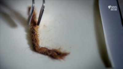 And from this particular
piece of wool, - Curse of the Ancients with Alice Roberts